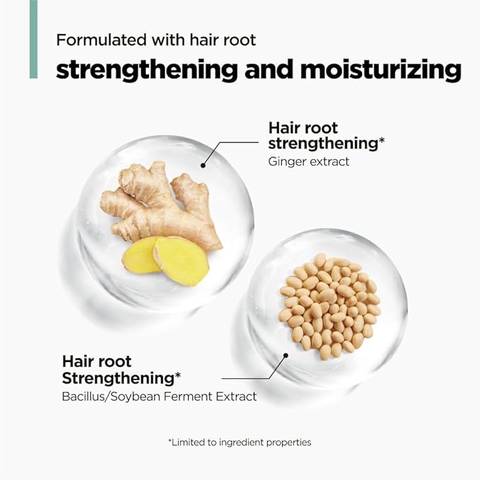 AMOS PROFESSIONAL The Green Tea Shampoo Refresh for Thinning Hair, Korean Shampoo for Oily Scalp l Deep Cleans, Strengthening Hair, All Hair Types, 16.9 fl.oz