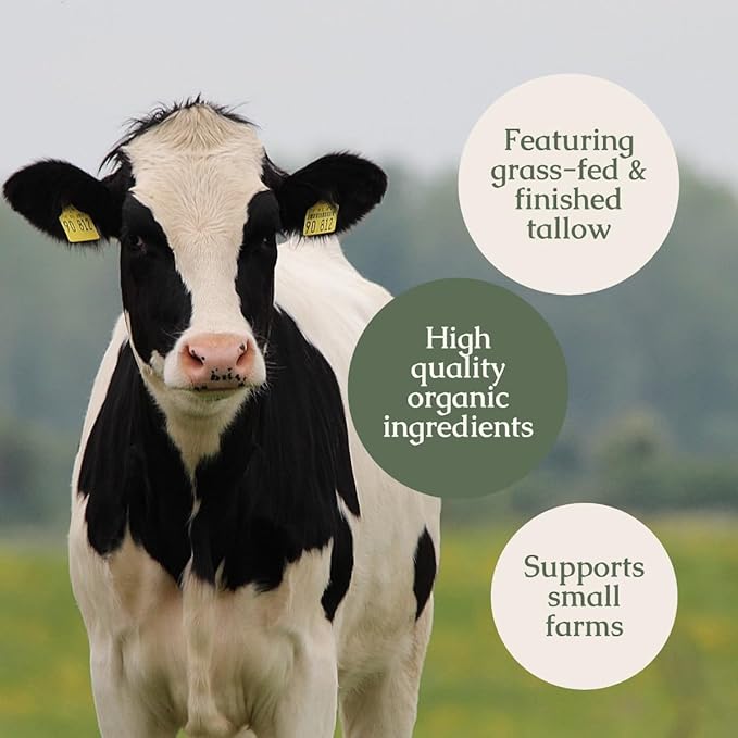 Handmade Whipped Tallow Balm (Lavender Peppermint): Organic Body Butter with Infused Olive Oil- 1.3 oz