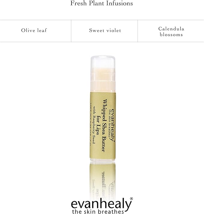 evanhealy Whipped Shea Butter for Lips | Organic Red Raspberry Seed Oil, Beeswax, & Argan Oil | Moisturizing Lip Balm (3 Pack)