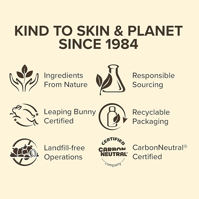 Burt's Bees Holiday Gift, 4 Lip Balms Stocking Stuffer, Assorted Mix Set, Classic Beeswax, Vanilla, Cucumber Mint & Coconut And Pear