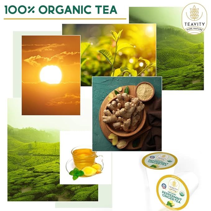 Teavity Organic Peppermint Ginger Tea Pods for Keurig - Decaf, 24 Count
