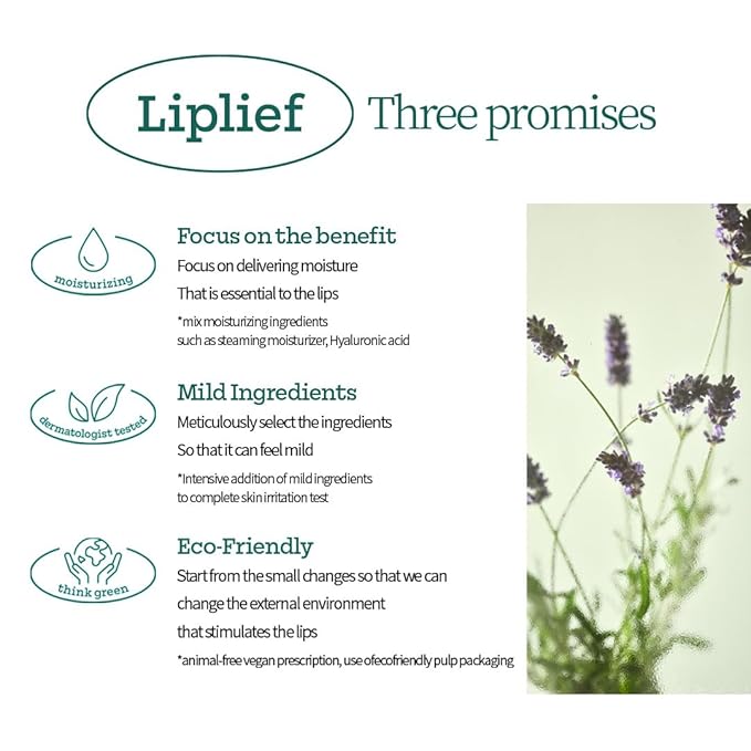 Holika Holika Liplief Steaming Lip Balm All Day 0.11 Ounce