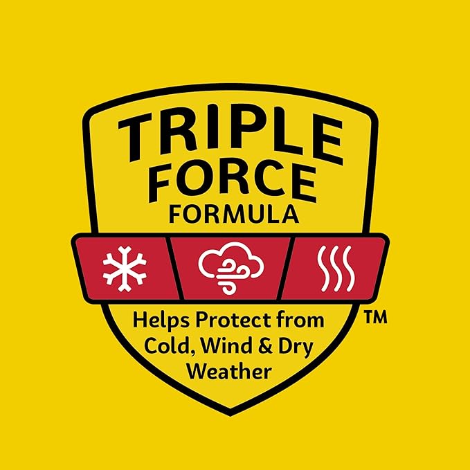 Carmex Medicated Lip Balm Jar, Lip Moisturizer for Dry, Chapped Lips, 0.25 OZ - (4 Packs of 3)