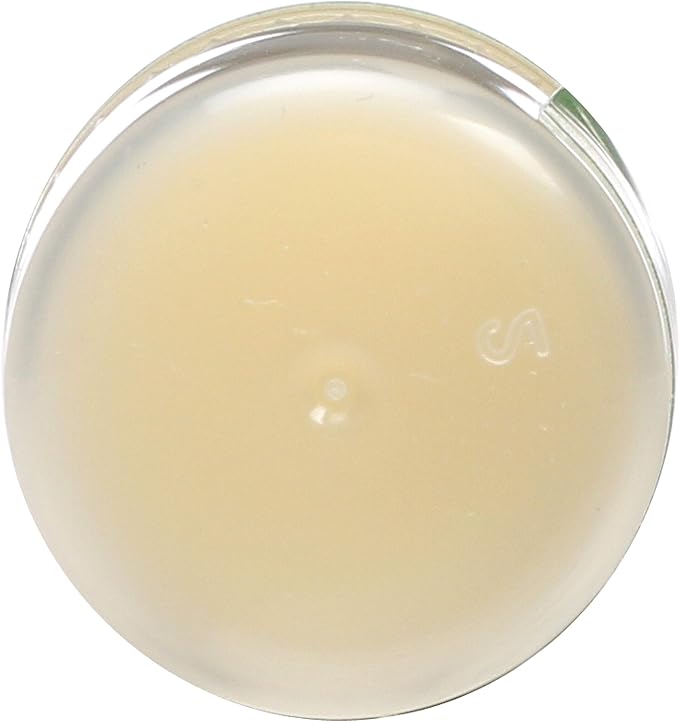 Eco Lips Organic Mongo Kiss Peppermint Lip Balm, USDA Certified Organic, 0.25 Ounce (Pack of 15)