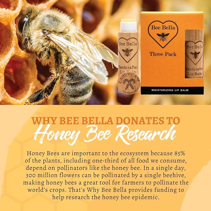 Bee Bella Lip Balm, Candy Cane, 3 Pack - Hydrating, Moisturizing Lip Care, 100% Natural, Original Organic Beeswax with Vitamin E, Handmade in USA