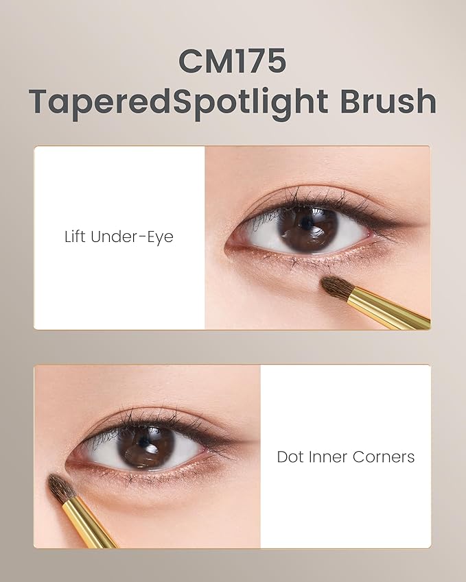 Desert Oak Series Tapered Spotlight Brush - Precision Pony Hair Brush for Inner Corner & Under-Eye Highlighting, Bubinga Handle & Gold Ferrule (CM 175)