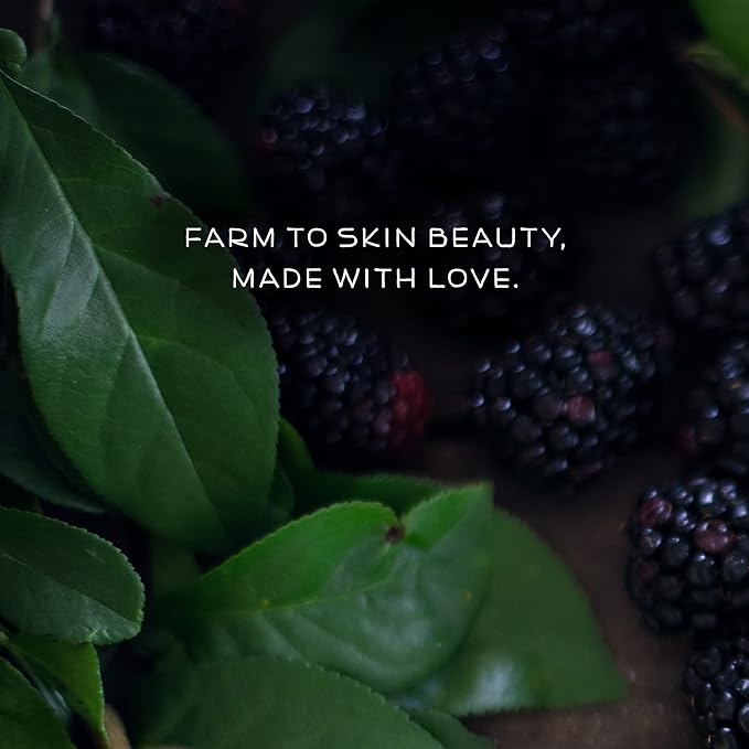 Farmstead Apothecary 100% Natural Lip Balm with Organic Beeswax, Organic Shea Butter & Organic Coconut Oil, Boysenberry Vanilla 0.2oz