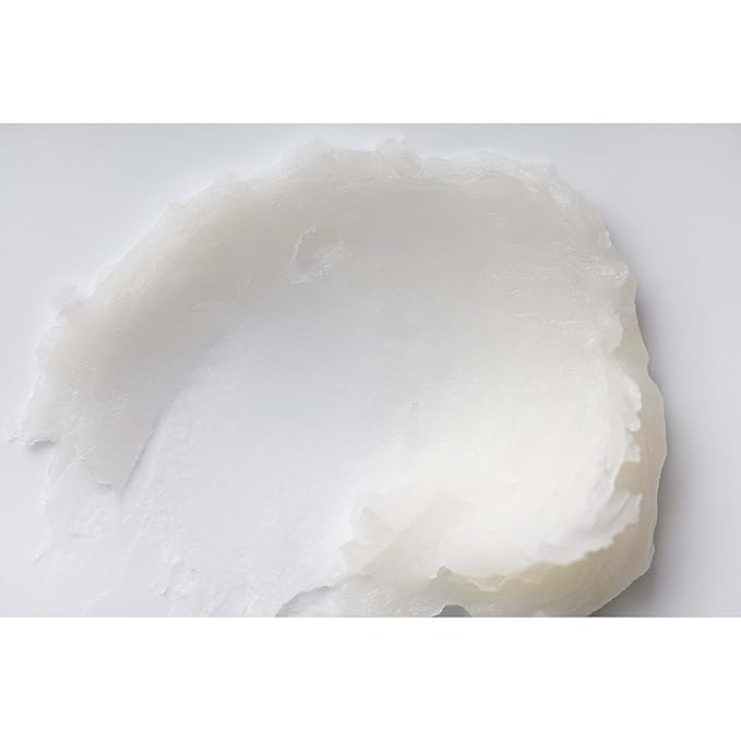 Burt's Bees Medicated Lip Balm, With Eucalyptus Oil and Menthol, Tint-Free, Natural Origin Lip Care, 2 Tubes, 0.15 oz.