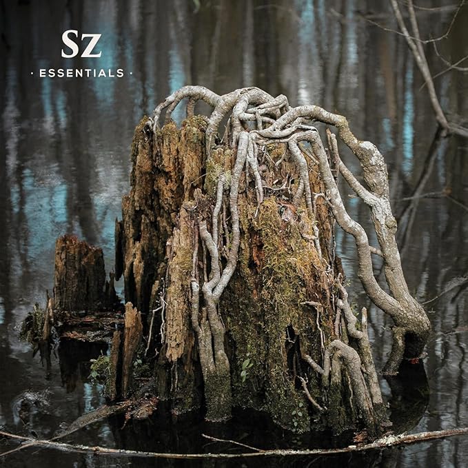 Cypress Essential Oil (Cupressus sempervirens) - 100% Pure & Undiluted - Fresh Crisp & Woody Aroma with Overtones of Earth and Evergreen - Therapeutic Grade and Vegan - 0.17 oz (5ml)