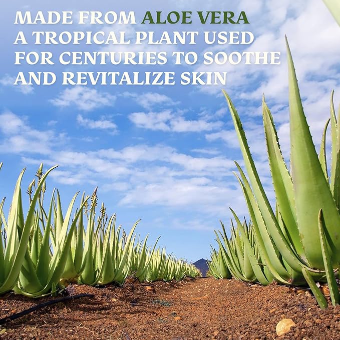 Amazing Aloe Vera Gel - Freshly Cut, 100% Pure Aloe, Premium Quality, Vegan, Unscented - Natural Sunburn Relief, After Shave, Skin, Face & Hair Care 12oz