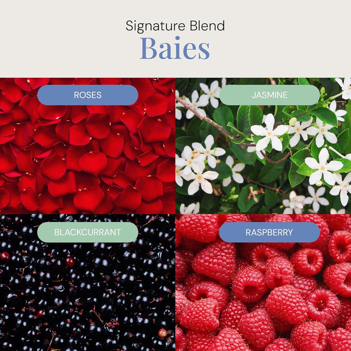 Baies Aroma Oil, Essential Oils Blend for Diffusers & Scent Machines, Floral Bouquet with Blackcurrant & Citrus Accents, Aromatherapy, Cold Air Diffuser Compatible, 300 mL