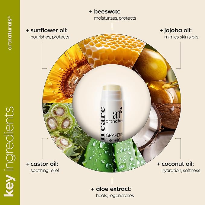 ArtNaturals Organic Beeswax Lip Balm Gift Set - Assorted Flavors with Aloe, Coconut & Jojoba Oils