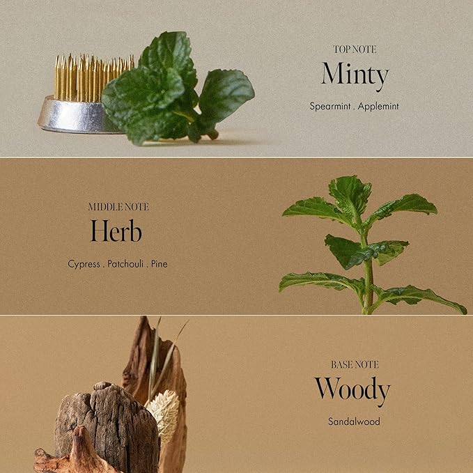 Dark Beer Biome Shampoo - Vegan Anti-Hair Loss Sclap Care with Caffeine & Green Mint Complex for Thicker Stronger Hair- Deep Cleansing, Oil Control & Cooling Effect, Sulfate-Free 500 ml / 16.9 fl oz