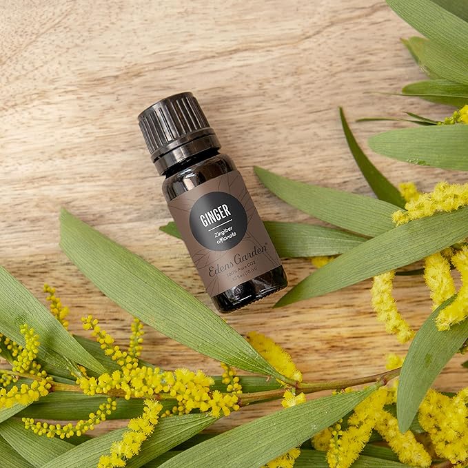 Edens Garden Ginger CO2 Essential Oil- 100% Pure Premium Grade, Undiluted, Natural, Therapeutic, Aromatherapy, The Best for Diffuser, Candle, Laundry, Humidifiers 10 ml (.33 fl oz)